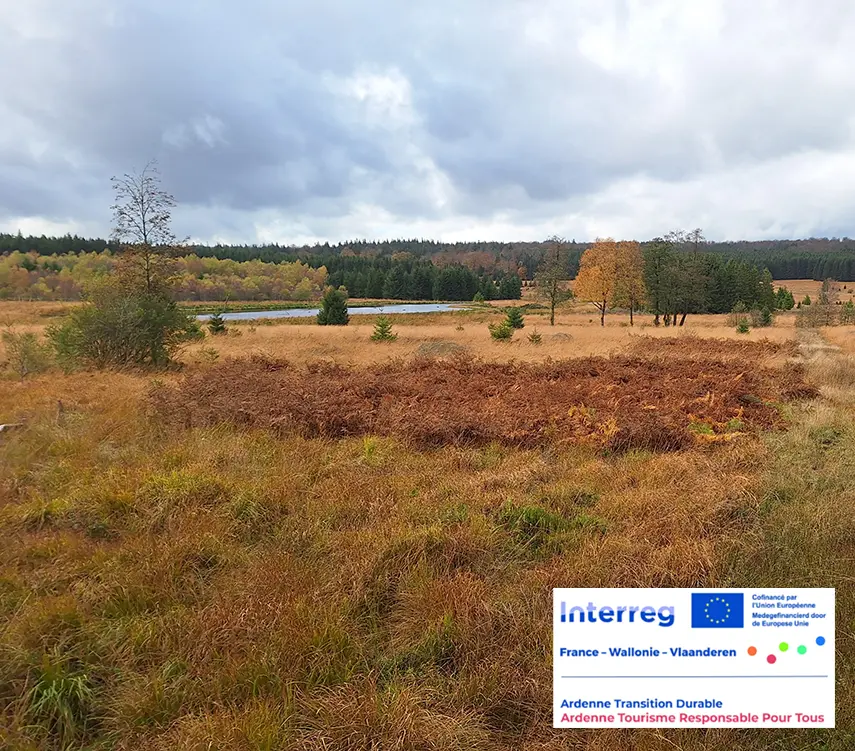 paysage ardenne avec logo